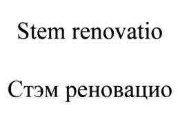Товарный знак №1000133, принадлежит организации Общество с ограниченной ответственностью "НС-РАБИЕС", ОГРН 1197847020172, ИНН 7810748171