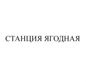 Товарный знак №1000381, принадлежит организации Общество с ограниченной ответственностью "Базис", ОГРН 5157746027610, ИНН 9701018965