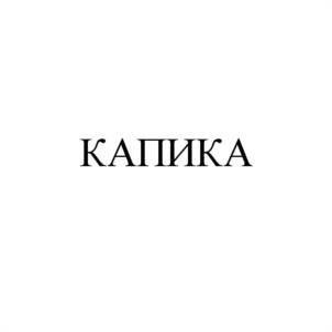 Товарный знак №1000476, принадлежит организации Общество с ограниченной ответственностью "Фабрика обуви", ОГРН 1037721025572, ИНН 7721260590