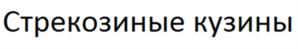 Товарный знак №1002080, принадлежит ИП Антипина Дарья Михайловна, ОГРНИП 319370200048554, ИНН 370228017290