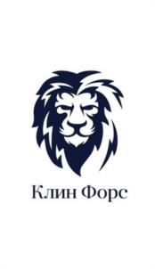Товарный знак №1003496, принадлежит организации Общество с ограниченной ответственностью «КЛИН ФОРС», ОГРН 1205000046371, ИНН 5047240776