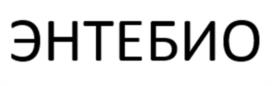 Товарный знак №1004501, принадлежит организации Общество с ограниченной ответственностью "СТМФАРМ", ОГРН 1147746696195, ИНН 7729774809