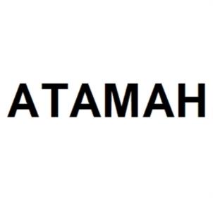 Товарный знак №1004916, принадлежит организации Общество с ограниченной ответственностью «АП ПРОТЕКШЕН», ОГРН 1077203028528, ИНН 7203194700