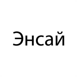 Товарный знак №1005000, принадлежит организации Общество с ограниченной ответственностью "ТРАНСПОРТНО-ЭКСПЕДИЦИОННАЯ СЛУЖБА ЭНСАЙ", ОГРН 1221200001769, ИНН 1200005819