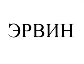 Товарный знак №1005604, принадлежит ИП Нисанов Эрвин Ильягуевич, ОГРНИП 318774600240678, ИНН 770479988323