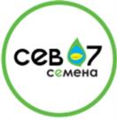 Товарный знак №1006246, принадлежит организации Общество с ограниченной ответственностью "СЕВ-07", ОГРН 1076362000340, ИНН 6362013890