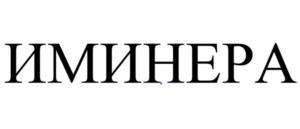 Товарный знак №1006469, принадлежит организации Общество с ограниченной ответственностью «Иминера», ОГРН 1196313097925, ИНН 6318052940