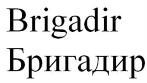 Товарный знак №1006881, принадлежит ИП Зюзин Денис Анатольевич, ОГРНИП 304254033400028, ИНН 254001036371