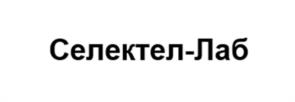 Товарный знак №1007890, принадлежит организации Общество с ограниченной ответственностью "Селектел-Лаб", ОГРН 1227800095489, ИНН 7810951536