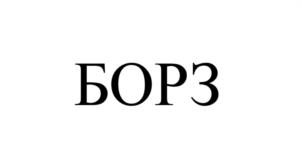 Товарный знак №1007992, принадлежит организации Общество с ограниченной ответственностью "БОРЗ", ОГРН 1217700170753, ИНН 9731077975