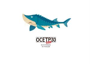 Товарный знак №1009652, принадлежит ИП Якин Сергей Александрович, ОГРНИП 315301500003188, ИНН 301500162560