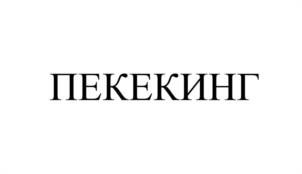 Товарный знак №1010240, принадлежит организации Общество с ограниченной ответственностью «ПК ПЕКЕКИНГ», ОГРН 1225200035268, ИНН 5260486631