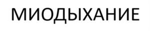 Товарный знак №1011096, принадлежит ИП Черных Татьяна Андреевна, ОГРНИП 319547600205168, ИНН 540407475350