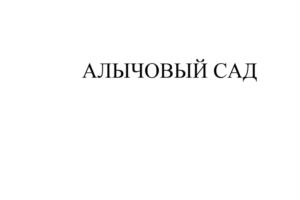 Товарный знак №1011288, принадлежит ИП Атаяр Абдул Рахим, ОГРНИП 319784700389669, ИНН 781613401028