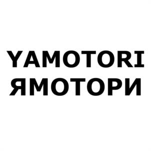 Товарный знак №1011824, принадлежит правообладателю Жидков Илья Михайлович, ОГРН 0, ИНН 253802964108