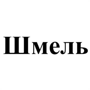 Товарный знак №1012427, принадлежит организации Акционерное общество "Производственное объединение "Электроточприбор", ОГРН 1035511016881, ИНН 5506052891