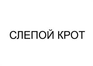 Товарный знак №1013036, принадлежит организации Общество с ограниченной ответственностью "Кеплер", ОГРН 1197746595045, ИНН 7743317628