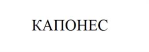 Товарный знак №1013341, принадлежит организации Общество с ограниченной ответственностью "ТОРГОВЫЙ ДОМ "РС ЛАЙН", ОГРН 1137746591168, ИНН 7724882060