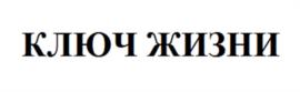 Товарный знак №1014772, принадлежит ИП Логинов Валерий Владимирович, ОГРНИП 321774600092173, ИНН 773400612945