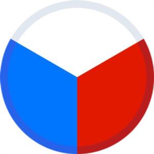 Товарный знак №1016207, принадлежит правообладателю Бобринский Руслан Викторович, ОГРН 0, ИНН 772500012837