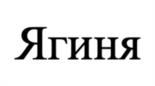 Товарный знак №1016736, принадлежит организации Общество с ограниченной ответственностью «Вега», ОГРН 1166234065711, ИНН 6234159037