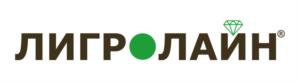 Товарный знак №1017822, принадлежит организации Общество с ограниченной ответственностью "ЛиГ индустрия Ко", ОГРН 1037704019264, ИНН 7704260262