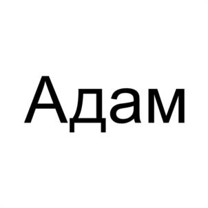 Товарный знак №1018569, принадлежит правообладателю Белхороев Адам Магомет-Гирейвич, ОГРН 0, ИНН 60101398604