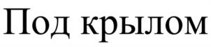 Товарный знак №1019619, принадлежит организации БЛАГОТВОРИТЕЛЬНЫЙ ФОНД ПОМОЩИ ДЕТЯМ И МОЛОДЕЖИ "ГАЛЧОНОК", ОГРН 1127799008611, ИНН 7722400642