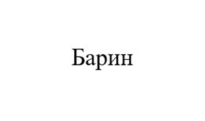 Товарный знак №1020307, принадлежит организации Общество с ограниченной ответственностью «РусБелПром», ОГРН 1046758300027, ИНН 6730051104