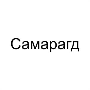 Товарный знак №1021007, принадлежит организации Общество с ограниченной ответственностью "АВТО ЦЕНТР САМАРАГД", ОГРН 1022800520555, ИНН 2801076750