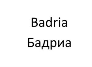 Товарный знак №1024041, принадлежит ИП Пушкарев Ян Андреевич, ОГРНИП 320673300033549, ИНН 673108515700