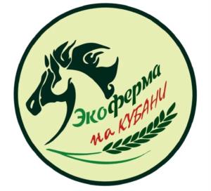 Товарный знак №1024608, принадлежит организации ОБЩЕСТВО С ОГРАНИЧЕННОЙ ОТВЕТСТВЕННОСТЬЮ "ДЕТСКИЙ ОЗДОРОВИТЕЛЬНЫЙ КОМПЛЕКС "МОРСКАЯ ЗВЕЗДА", ОГРН 1112365000505, ИНН 2365017582