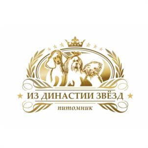 Товарный знак №1024884, принадлежит правообладателю Бондарь Александр Владимирович, ОГРН 0, ИНН 561402292660
