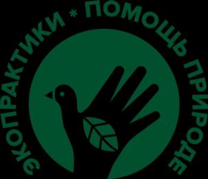 Товарный знак №1025049, принадлежит правообладателю Хохлов Юрий Николаевич, ОГРН 0, ИНН 590308117595