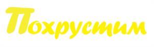 Товарный знак №1027284, принадлежит организации Общество с ограниченной ответственностью "ПФМ", ОГРН 1225000048624, ИНН 5038164286