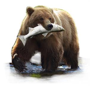 Товарный знак №1027302, принадлежит ИП Сабиров Раиль Галимзянович, ОГРНИП 314169020200058, ИНН 165503069915