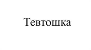 Товарный знак №1027807, принадлежит правообладателю Мазурок Владислав Валерьевич, ОГРН 0, ИНН 782571201548