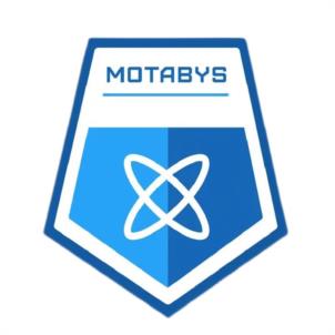 Товарный знак №1028687, принадлежит организации Общество с ограниченной ответственностью "МОТАБУС", ОГРН 1225000030474, ИНН 5027304622