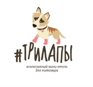 Товарный знак №1029722, принадлежит ИП Дойна Яна Валерьевна, ОГРНИП 312246816600182, ИНН 246508453010