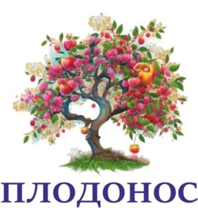 Товарный знак №1029936, принадлежит организации Общество с ограниченной ответственностью «Современные Технологии Качества», ОГРН 1163702065273, ИНН 3703019723