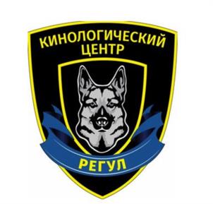 Товарный знак №1029994, принадлежит организации ОБЩЕСТВО С ОГРАНИЧЕННОЙ ОТВЕТСТВЕННОСТЬЮ "РЕГУЛ ГРУПП", ОГРН 1177746241287, ИНН 7727313182