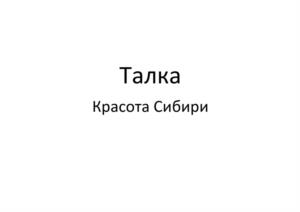 Товарный знак №1030727, принадлежит организации Акционерное общество "Руст Россия", ОГРН 1037705023190, ИНН 7705492717
