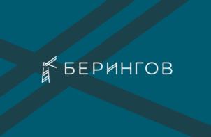Товарный знак №1031315, принадлежит организации Общество с ограниченной ответственностью «Берингов», ОГРН 1227700060422, ИНН 7727484276