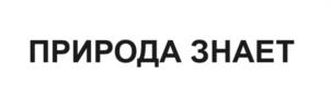 Товарный знак №1032967, принадлежит организации Общество с ограниченной ответственностью "Экстралата", ОГРН 1235400003497, ИНН 5403075382