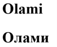 Товарный знак №1033826, принадлежит ИП Павленко Алексей Анатольевич, ОГРНИП 315774600347744, ИНН 281201444283
