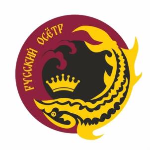 Товарный знак №1034046, принадлежит организации Общество с ограниченной ответственностью "СПАРТА 32", ОГРН 1232000001749, ИНН 2012010656