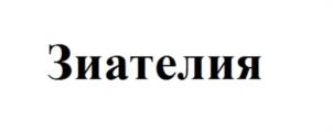 Товарный знак №1034984, принадлежит организации Общество с ограниченной ответственностью "ЗИЛАНДИЯ", ОГРН 1115044003447, ИНН 5044080919