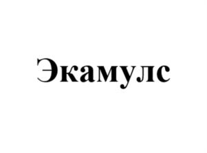 Товарный знак №1035031, принадлежит организации Общество с ограниченной ответственностью "ЭФКО Пищевые Ингредиенты", ОГРН 1023602242520, ИНН 3662065051