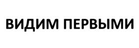 Товарный знак №1035291, принадлежит организации Акционерное общество "Швабе", ОГРН 1107746256727, ИНН 7717671799