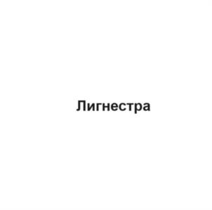 Товарный знак №1035731, принадлежит организации Общество с ограниченной ответственностью "ГЛР ФАРМ", ОГРН 1237700719497, ИНН 9714023419
